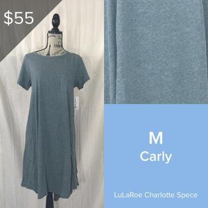 NWT M Blue/Green Lularoe Carly Dress